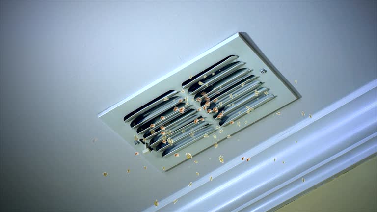 Best Air Duct Cleaning Near Me  in Pleasant Hill, MS