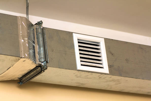 Best Air Duct Sanitizing Services  in Pleasant Hill, MS